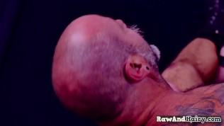 polar bear anally slamming studs tight ass